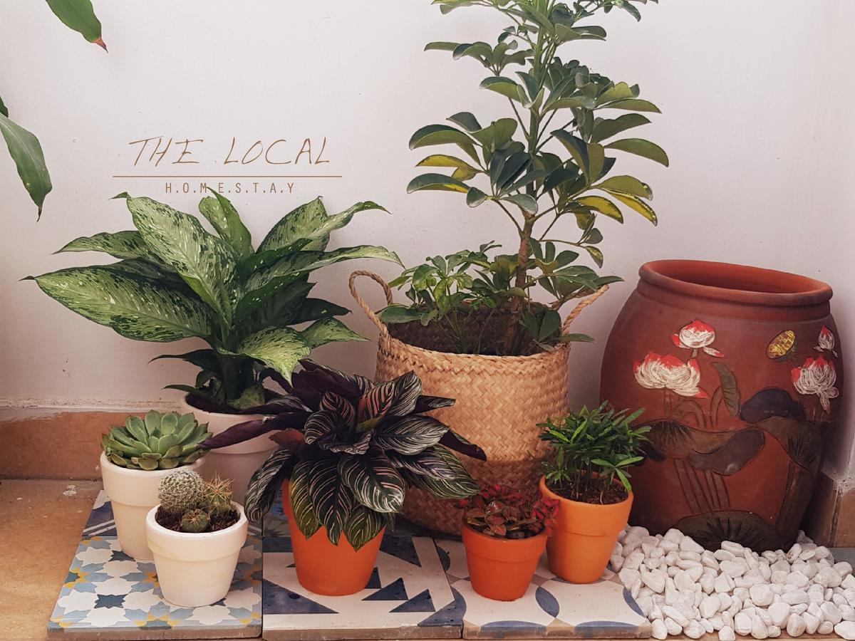 The Local Homestay Bandar Ho Chi Minh Luaran gambar