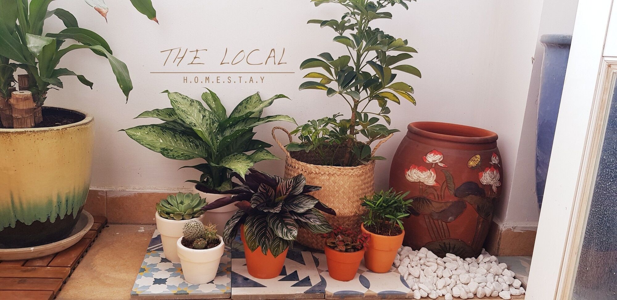 The Local Homestay Bandar Ho Chi Minh Luaran gambar